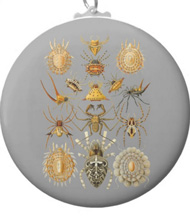 Keychains with spider designs, based on the drawings of Ernst Haeckel