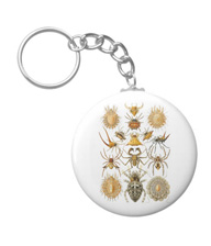 Keychains with spider designs, based on the drawings of Ernst Haeckel