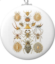 Keychains with spider designs, based on the drawings of Ernst Haeckel