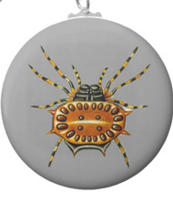 Keychains with spider designs, based on the drawings of Ernst Haeckel