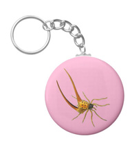 Keychains with spider designs, based on the drawings of Ernst Haeckel