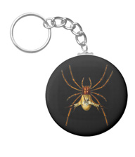 Keychains with spider designs, based on the drawings of Ernst Haeckel