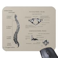 bones of the human body, mouse mats