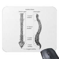 bones of the human body, mouse mats