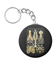 Keychains with squid and octopus designs, based on the drawings of Ernst Haeckel