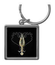 Keychains with squid and octopus designs, based on the drawings of Ernst Haeckel