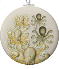 Keychains with squid and octopus designs, based on the drawings of Ernst Haeckel