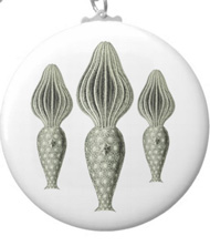 Keychains with starfish designs, based on the drawings of Ernst Haeckel