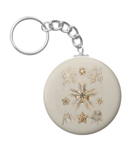 Keychains with starfish designs, based on the drawings of Ernst Haeckel