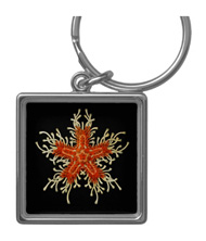 Keychains with starfish designs, based on the drawings of Ernst Haeckel