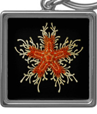 Keychains with starfish designs, based on the drawings of Ernst Haeckel