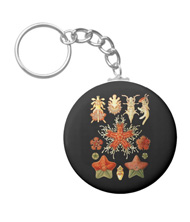 Keychains with starfish designs, based on the drawings of Ernst Haeckel