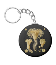 Keychains with starfish designs, based on the drawings of Ernst Haeckel