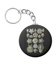 Keychains with starfish designs, based on the drawings of Ernst Haeckel