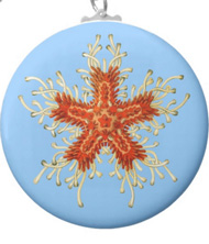 Keychains with starfish designs, based on the drawings of Ernst Haeckel