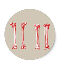 Bones of the human lower limb, stickers