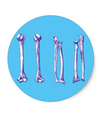 Bones of the human lower limb, stickers