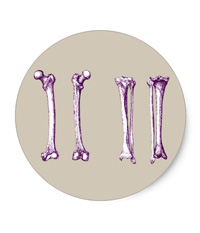 Bones of the human lower limb, stickers