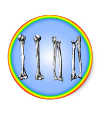 Bones of the human lower limb, stickers