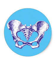 bones of the human body, stickers