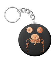 Keychains with jellyfish designs, based on the drawings of Ernst Haeckel