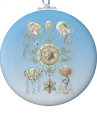 Keychains with jellyfish designs, based on the drawings of Ernst Haeckel