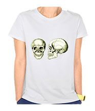 Details of the human skull singularly and in groups, in various colors and arrangements. Women's t-shirts.