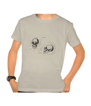 Deatails of the human skull singularly and in groups, in various colors and arrangements. Kid's t-shirts