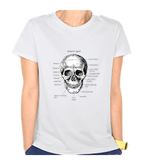 Details of the human skull singularly and in groups, in various colors and arrangements. Women's t-shirts.