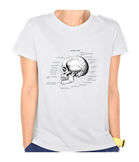 Details of the human skull singularly and in groups, in various colors and arrangements. Women's t-shirts.