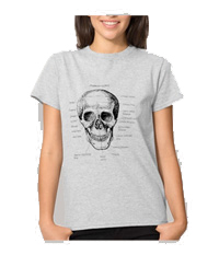 Details of the human skull singularly and in groups, in various colors and arrangements. Women's t-shirts.