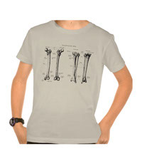 bones of the lower limb, tee-shirts