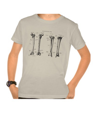 bones of the lower limb, tee-shirts