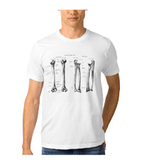 bones of the lower limb, tee shirts