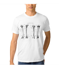 bones of the lower limb, tee shirts