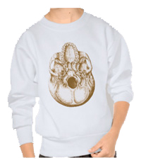 Deatails of the human skull singularly and in groups, in various colors and arrangements. Kid's t-shirts