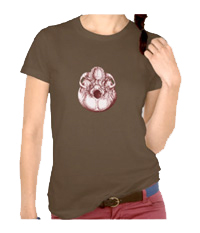 Details of the human skull singularly and in groups, in various colors and arrangements. Women's t-shirts.