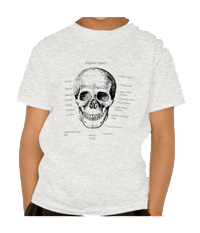 Deatails of the human skull singularly and in groups, in various colors and arrangements. Kid's t-shirts