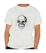 Deatails of the human skull singularly and in groups, in various colors and arrangements. Kid's t-shirts