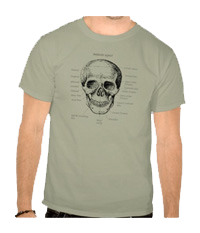 Details of the human skull singularly and in groups, in various colors and arrangements. Men's t-shirts