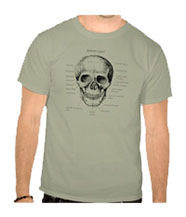 Details of the human skull singularly and in groups, in various colors and arrangements. Men's t-shirts