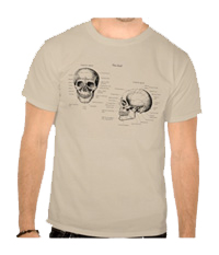 Details of the human skull singularly and in groups, in various colors and arrangements. Men's t-shirts