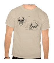 Details of the human skull singularly and in groups, in various colors and arrangements. Men's t-shirts