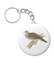 Keychains with bird drawings from the works of John Gould 