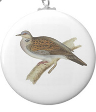 Keychains with bird drawings from the works of John Gould 